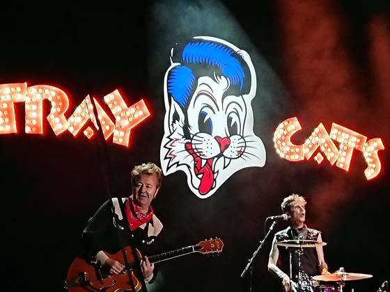 Stray Cats